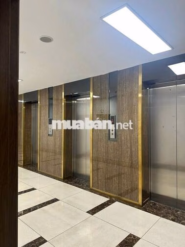 Cho thuê căn hộ chung cư 2PN,1WC giá chỉ 10tr tại GOLDORA PLAZA