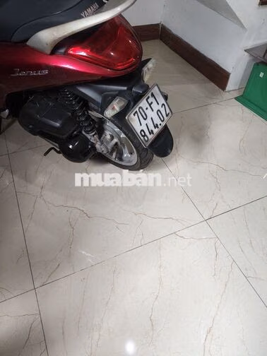 Cần bán xe Yamaha janus màu đỏ sản xuất năm 2020