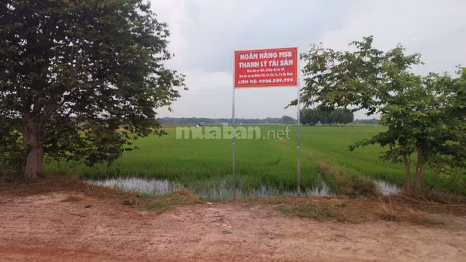 CÔNG TY ĐẤU GIÁ HỢP DANH MINH PHÁP THÔNG BÁO ĐẤU GIÁ TÀI SẢN