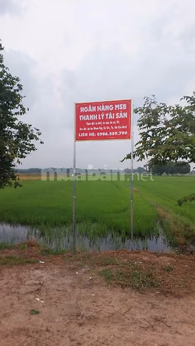 CÔNG TY ĐẤU GIÁ HỢP DANH MINH PHÁP THÔNG BÁO ĐẤU GIÁ TÀI SẢN