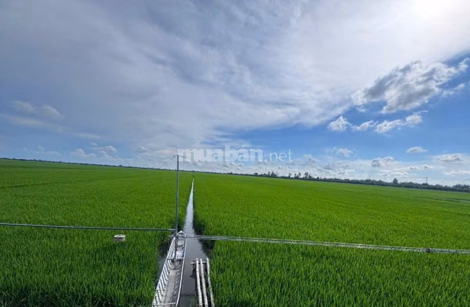 CÔNG TY ĐẤU GIÁ HỢP DANH MINH PHÁP THÔNG BÁO ĐẤU GIÁ TÀI SẢN