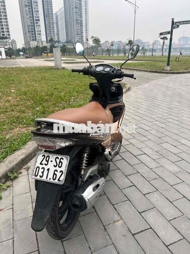 ban xe Suzuki Hayate Nâu, Vàng đồng