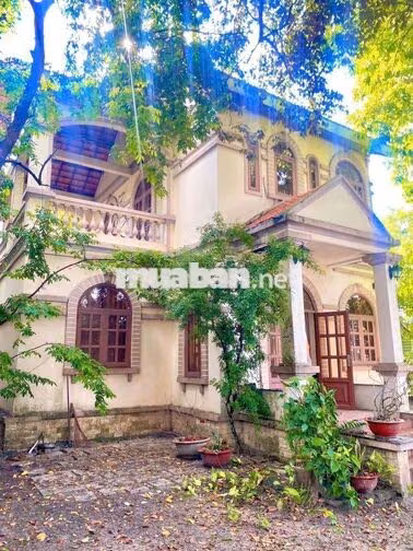 CHO THUÊ BIỆT THỰ 1000M² FUN NỘI THẤT GIÁ 12TR 