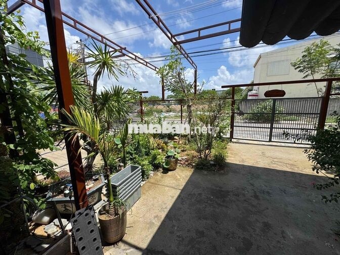 🏡 CHO THUÊ NHÀ SÂN VƯỜN NGAY BÃI TẮM TÂN TRÀ