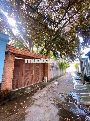 CHO THUÊ BIỆT THỰ 1000M² FUN NỘI THẤT GIÁ 12TR 