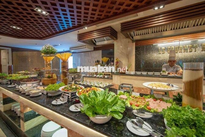 Luxury Villa, Luxury Apartment short-long term for rent in Nha Trang