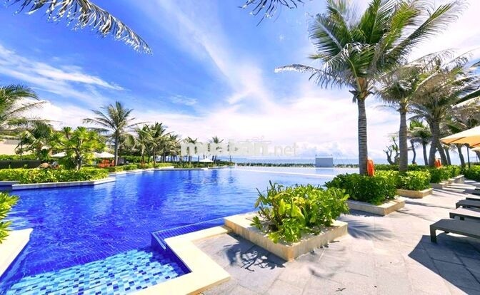 Luxury Villa, Luxury Apartment short-long term for rent in Nha Trang