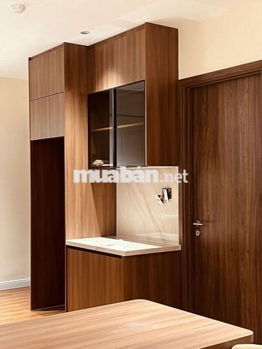 Căn hộ mới 100% full nội thất cao cấp Vista 2PN trung tâm Đà Nẵng 