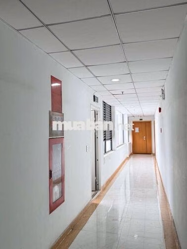 bán chung chư nguyễn thiện thuận gần chợ bà chiểu 65m2