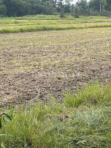 MẶT TIỀN NGUYỄN THỊ LY – XUÂN THỚI SƠN, HÓC MÔN-2tr/m2