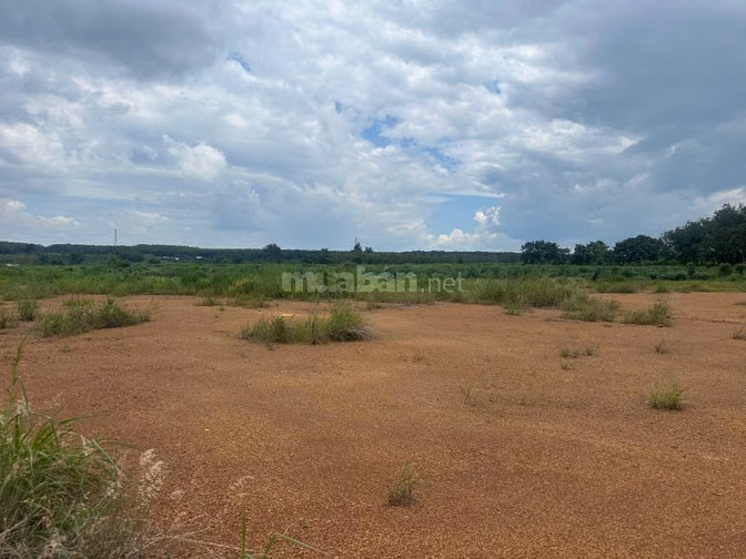 🌿 CẦN BÁN 8,5 HA ĐẤT MẶT TIỀN SÔNG LỚN – GIÁ 75 TỶ