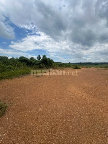 🌿 CẦN BÁN 8,5 HA ĐẤT MẶT TIỀN SÔNG LỚN – GIÁ 75 TỶ