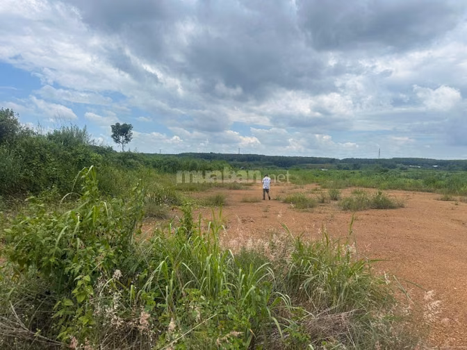 🌿 CẦN BÁN 8,5 HA ĐẤT MẶT TIỀN SÔNG LỚN – GIÁ 75 TỶ
