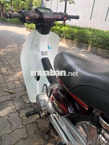Honda Dream 2010 Trắng, Đỏ