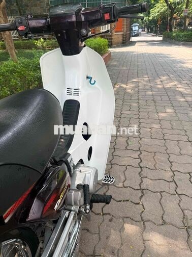 Honda Dream 2010 Trắng, Đỏ