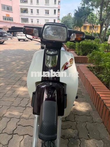 Honda Dream 2010 Trắng, Đỏ