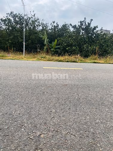 CẦN TIỀN NUÔI BÒ BÁN 458,8M, THỔ CƯ, KẾ BÊN KHU CÔNG NGHIỆP BECAMEX