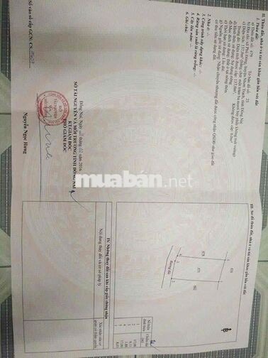 🏡 CHÍNH CHỦ BÁN NHÀ ĐẸP 137M2 FULL THỔ CƯ HÙNG VƯƠNG, ĐẠI PHƯỚC - 4,29
