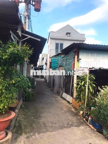 🏡 CHÍNH CHỦ BÁN NHÀ ĐẸP 137M2 FULL THỔ CƯ HÙNG VƯƠNG, ĐẠI PHƯỚC - 4,29