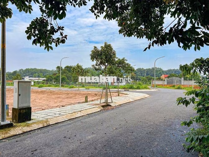 Tôi cần bán lô đất ở KDC Phú Hòa Đông sát bên tỉnh lộ 15 XD tự do