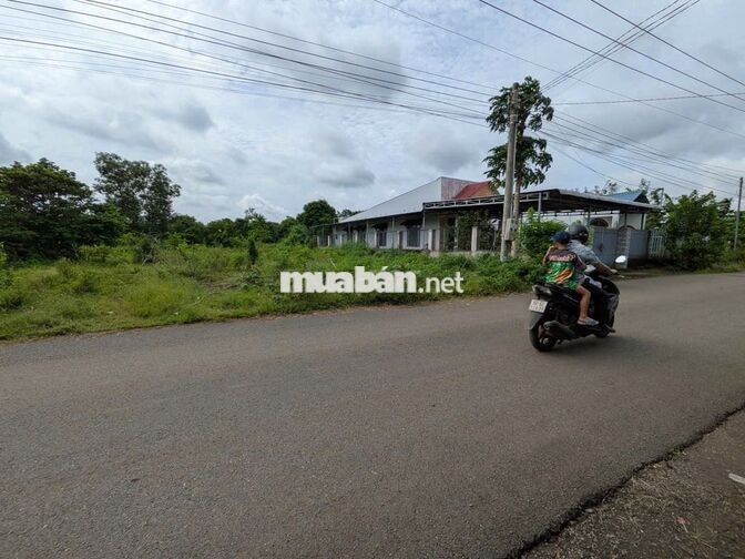 Bán 1.003m2 Bàu Trâm - Ngang 20M - Đường nhựa - Giá 3,7T
