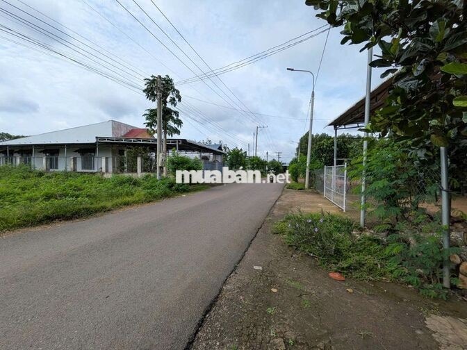 Bán 1.003m2 Bàu Trâm - Ngang 20M - Đường nhựa - Giá 3,7T