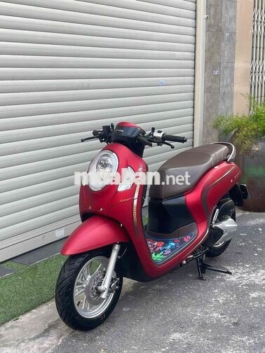 Scoopy - 2023 - 2900 km - bstp