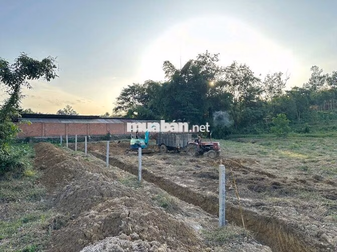 Chính chủ bán đất 250m²/lô có TC, mặt tiền nhựa, giá từ 350 triệu