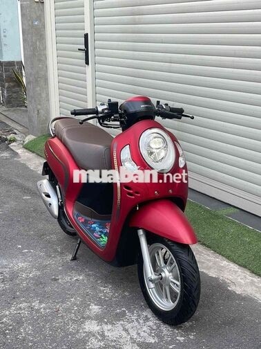 Scoopy - 2023 - 2900 km - bstp