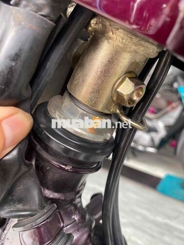 suber drim 2005 zin chất