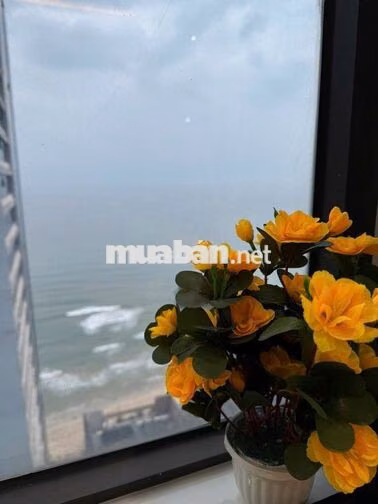 Bán Chung Cư Mường Thanh Đà Nẵng Gía *** thị trường