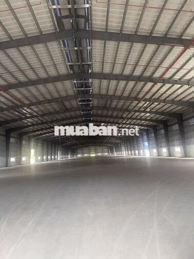 Cho thuê kho xưởng huyện đức hòa .Tỉnh Long An ( giao xưởng mới ) 