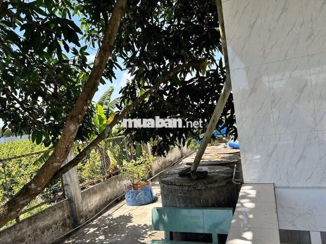 Đất thổ cư 1000 m2 mặt tiền đường ĐT 818 Tân Thành Thủ Thừa Long An cũ