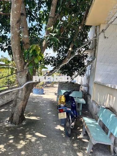 Đất thổ cư 1000 m2 mặt tiền đường ĐT 818 Tân Thành Thủ Thừa Long An cũ