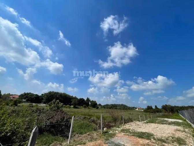 Công ty Đấu giá hợp danh Lam Sơn Sài Gòn THÔNG BÁO ĐẤU GIÁ TÀI SẢN