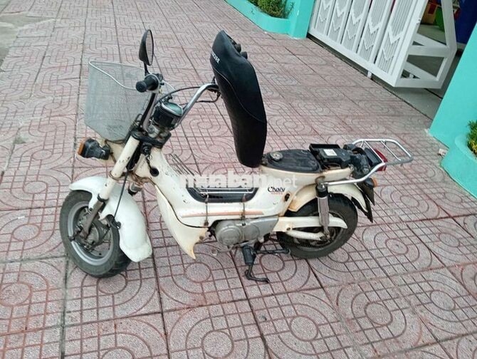 Honda Chaly Trắng