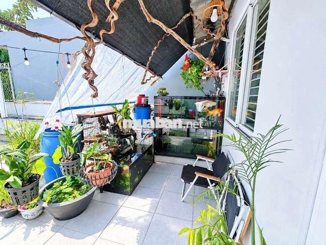 TÌM BẠN Ở GHÉP - KDC BÌNH HƯNG