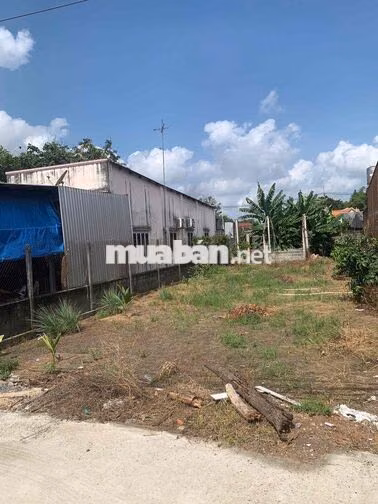 353m2 MT Nhựa - SHR 340m2 Thổ Cư xây dựng tự do