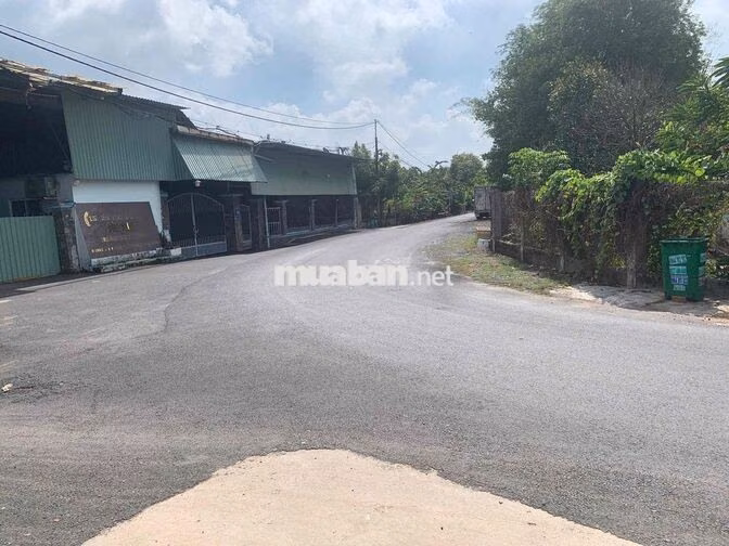 353m2 MT Nhựa - SHR 340m2 Thổ Cư xây dựng tự do