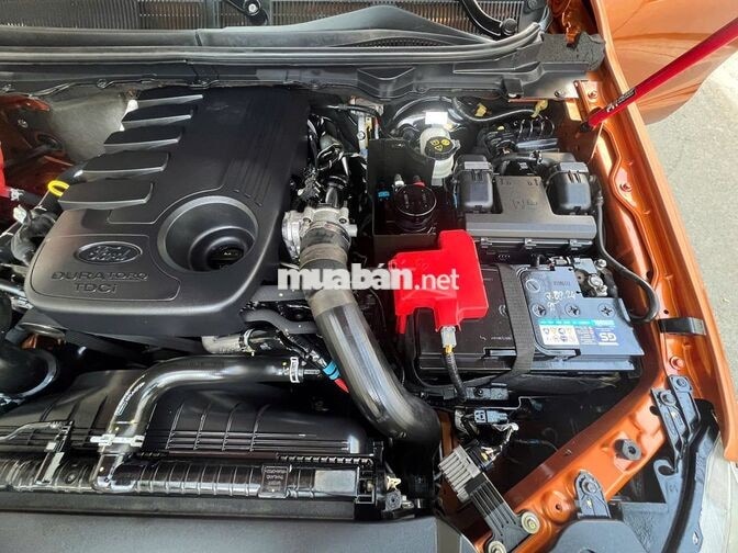 Ford Ranger Wildtrak 2017 Số tự động Dầu Cam