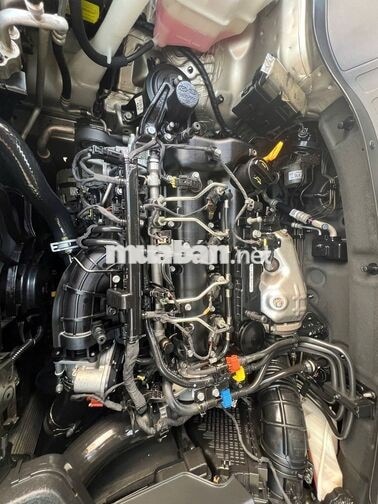 Kia Sorento 2018 2.2 Dath Vàng ghi Dầu