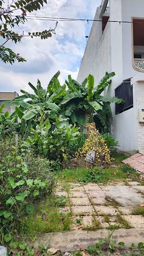 CHÍNH CHỦ BÁN ĐẤT LONG BÌNH TÂN, BIÊN HÒA – 141,60M² ĐẤT Ở ĐÔ THỊ – GI
