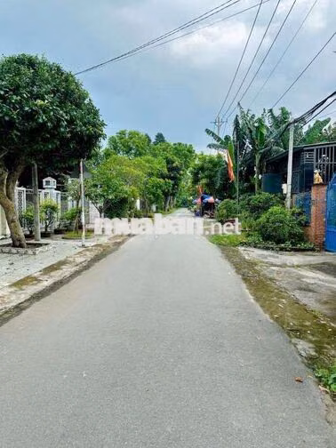 Đất chính chủ tự bán giảm sâu 700 triệu