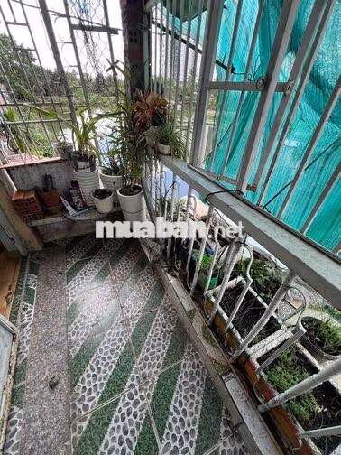 nhà cho thuê nguyên căn hẻm 2805/ phạm thế hiển