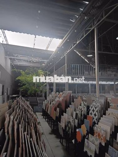 cần cho thuê Mặt bằng  Hóc Môn Dt .20 x45 giá 55 triệu TL