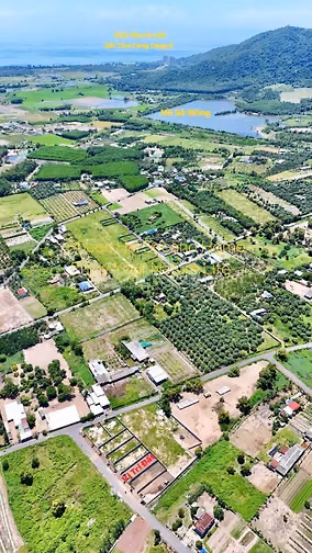 BÁN LÔ ĐẤT VƯỜN 307M2 NGANG 10 SẲN RÀO CHỈ 1Ty800, NGAY CHÂN NÚI MINH 