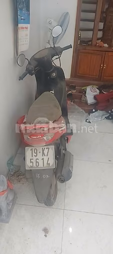 Bán xe 50cc Gree và xe 110 Mio đã qua sử dụng