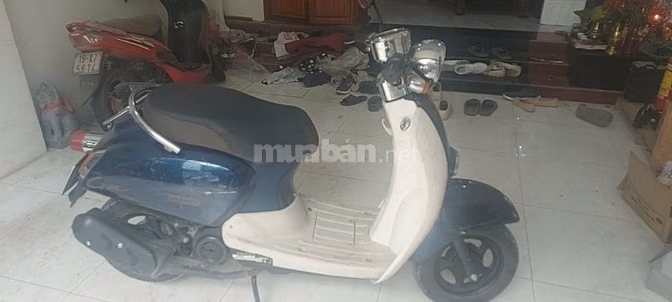 Bán xe 50cc Gree và xe 110 Mio đã qua sử dụng