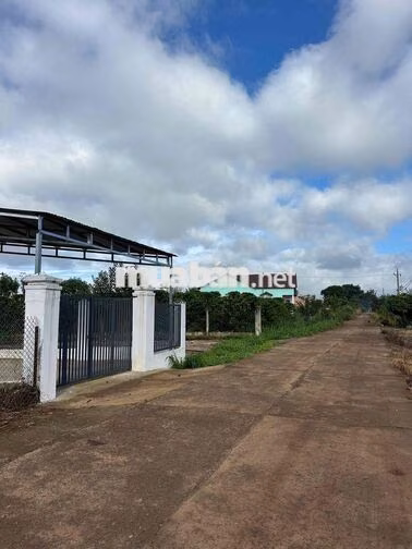 Bán 3 nền đất Tân Hội, Lâm Đồng, 100m2 thổ cư, SHR