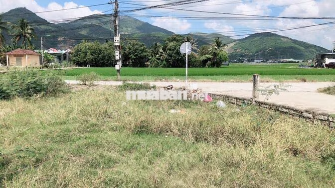 Chính chủ bán lô đất mặt tiền thôn Tây, đường Ô tô